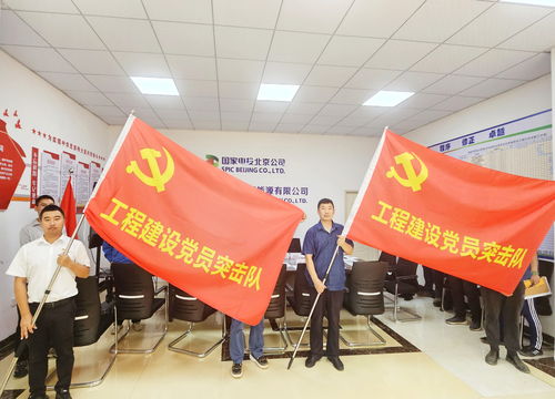 國家電投北京新能源與北京宏信組建海南工程建設聯合黨支部，共筑清潔能源新篇章